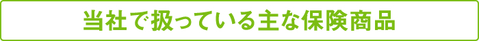 当社で扱っている主な保険商品